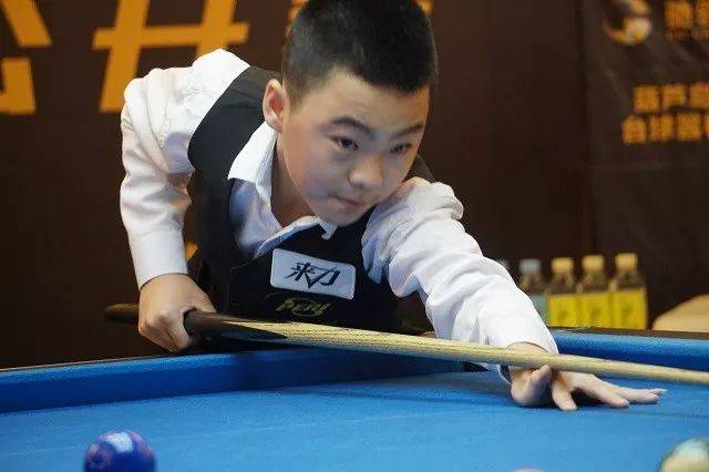 不仅展示了 不仅展示了