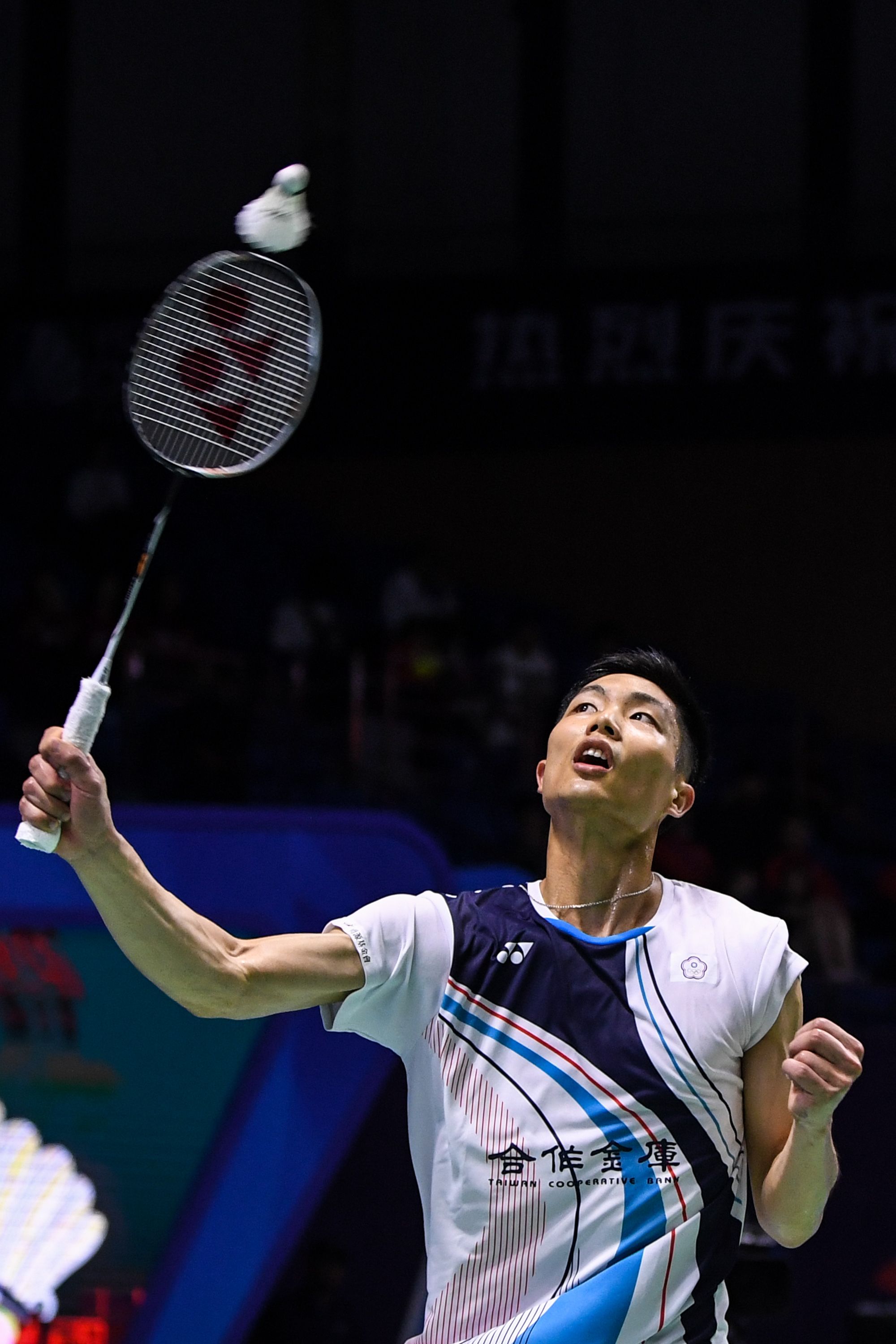 应值极高 应值极高